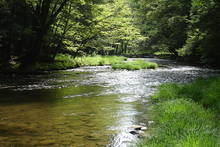 Mead Run in Pennsylvania's Allegheny National Forest