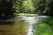Mead Run in Pennsylvania's Allegheny National Forest