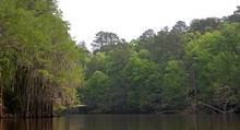 caddo lake texas