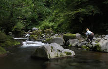 tenkara fishing