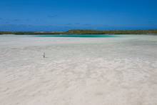 bonefish flat - long island - bahamas