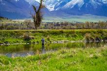 Photo: Todd Tanner. spring creek fly fishing