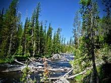 Yellowstone National Park