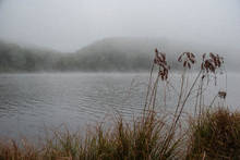 maine brook trout pond