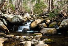Appalachian stream