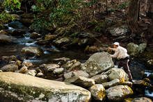 smoky mountain national park fly fishing