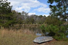 georgia farm pond