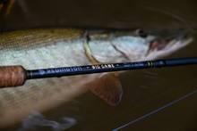 redington big game rod next to musky