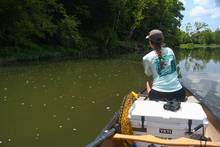 fly fishing smallmouth bass