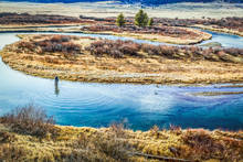 montana fly fishing