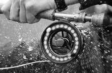 fly fisherman holding fly rod and reel