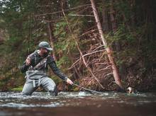 fly fisherman netting fish pennsylvania