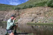  ECHO River Glass fly rod in amber