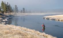 Casting a double taper fly line on the Firehole River in Yellowstone National Park