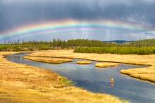 firehole river | yellowstone national park