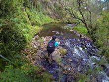 trout fishing aberdares national park