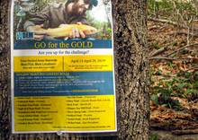 An advertisement for 'golden rainbow' fishing in Rhode Island