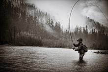 hoh river steelhead fishing