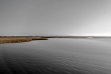 barataria estuary louisiana 