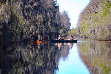okefenokee swamp