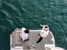 hand line fishing sea of cortez