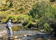 redington butter stick fly rod