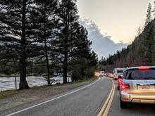 yellowstone national park traffic jam