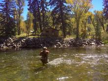 gunnison river fly fishing colorado