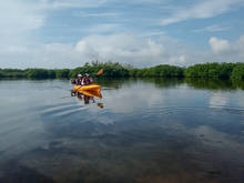 Kayakers on The Everglades Joe Bay