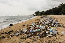 ocean garbage plastic trash vortex