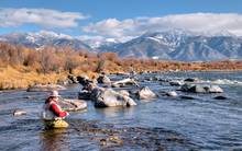 fly fishing the madison river in montana