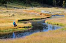 fly fishing on Nez Perce Creek in Yellowstone National Park