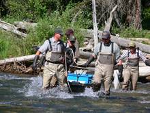 Fisheries biologists on Soda Butte Creek