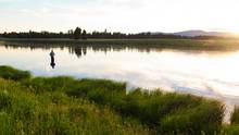 henry's fork - mayfly hatch