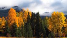 montana mountains