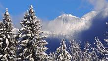 winter mountain scene