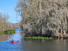 swamp fly fishing