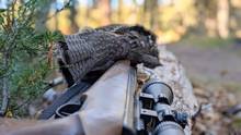 grouse shot with pellet rifle
