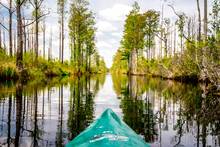 kayaking the Okefenokee Swamp