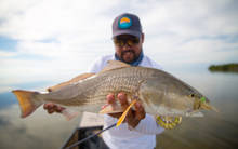 florida everglades redfish