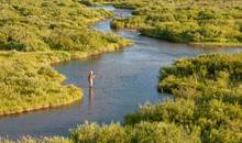 south fork madison river