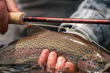 sage power r8 fly rod