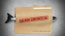 Salmon Confidential: Effects of Salmon Farming on Wild Pacific Salmon