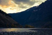 steelhead salmon fly fishing