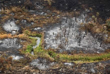 tex creek wildfire