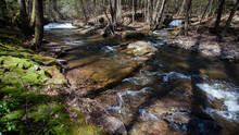 headwater trout stream