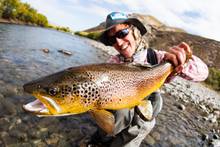 patagonia brown trout