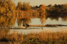 autumn on the snake river idaho