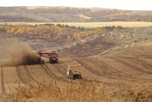 idaho potato harvest