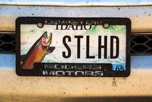 steelhead STLHD license plate